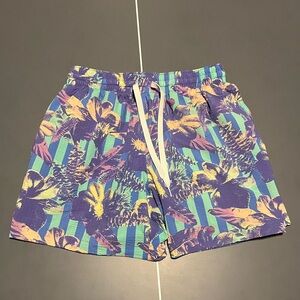 Colorful Chubbies Swim Shorts